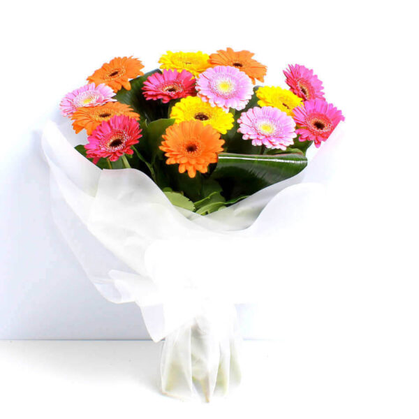 Vibrant Germinis - Image 2